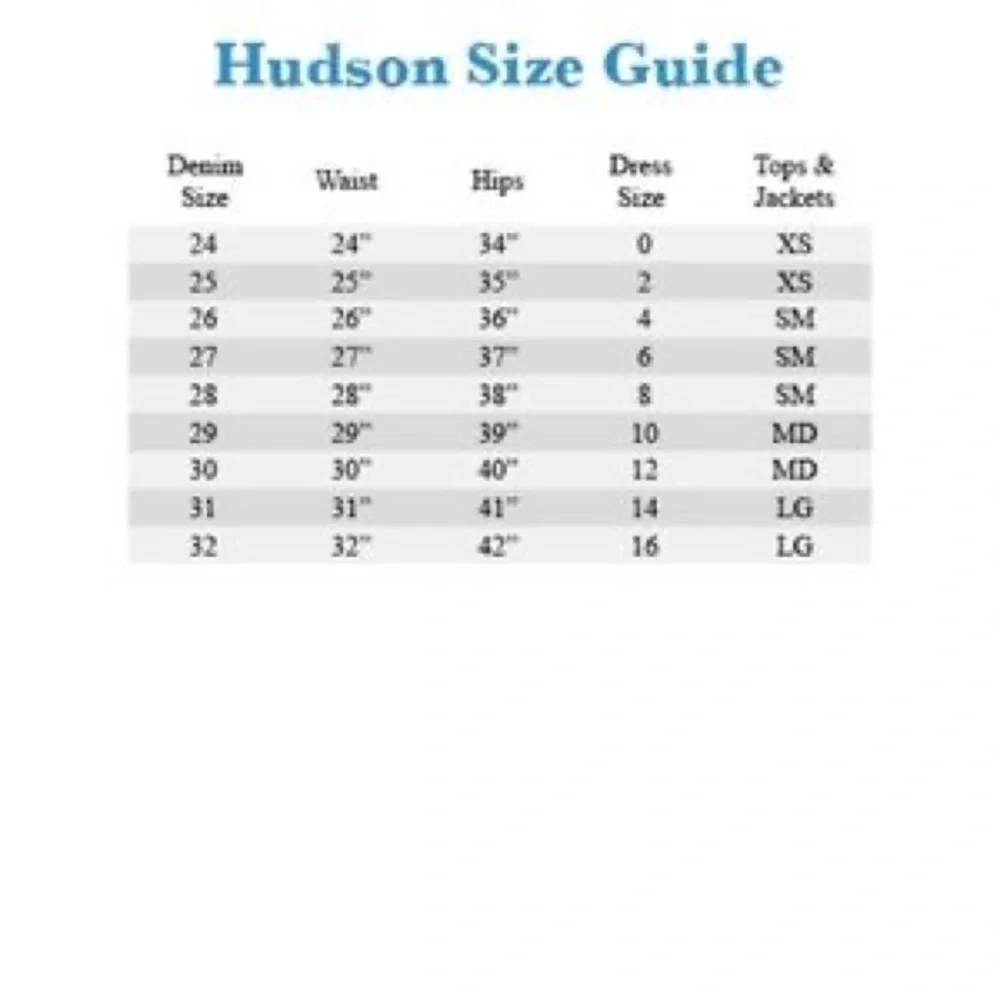 Hudson Viper Denim Mini Skirt